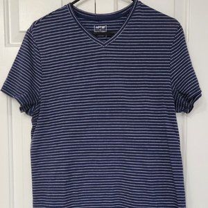 Apt. 9 Navy and White Mens striped V neck Size M